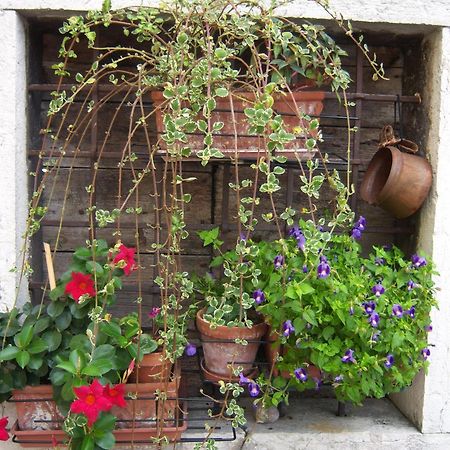 B&B Corte Barbieri Dolcè Exteriör bild